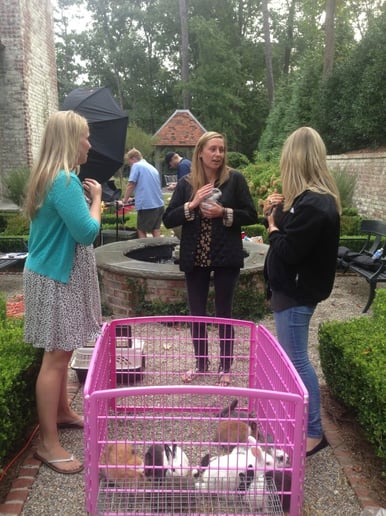 Gallery photo 55 of Pet Parties Plus, LLC