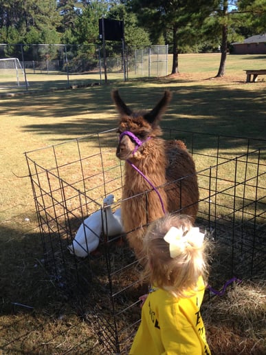Gallery photo 77 of Pet Parties Plus, LLC