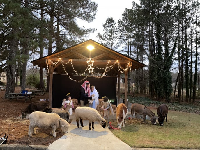 Gallery photo 87 of Pet Parties Plus, LLC