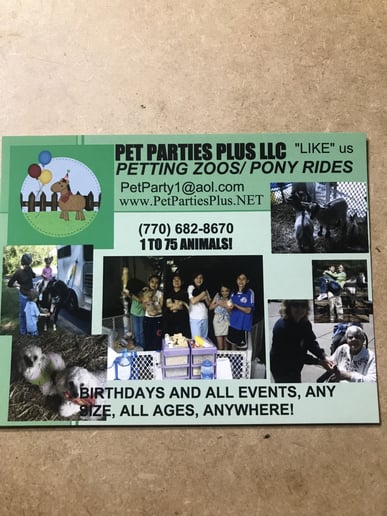 Gallery photo 92 of Pet Parties Plus, LLC