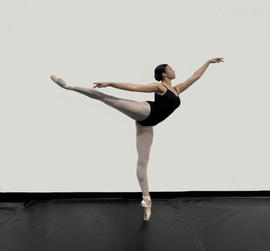 Gallery photo 6 of Petals En Pointe