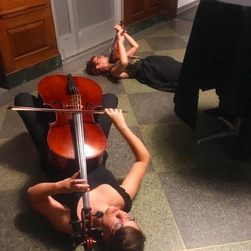 Gallery photo 6 of Petals String Duo