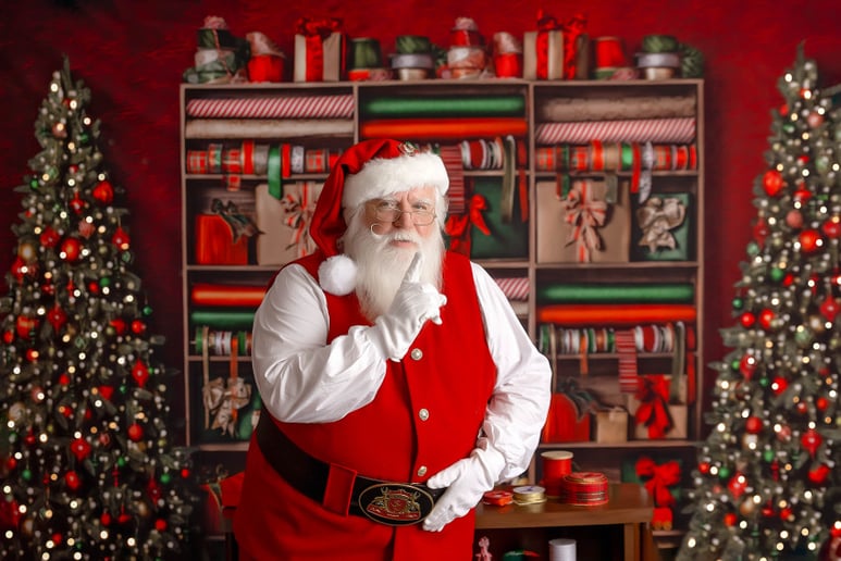 Gallery photo 9 of Real Beard Santa