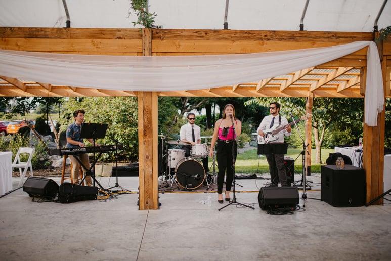Gallery photo 7 of Petrichor Band