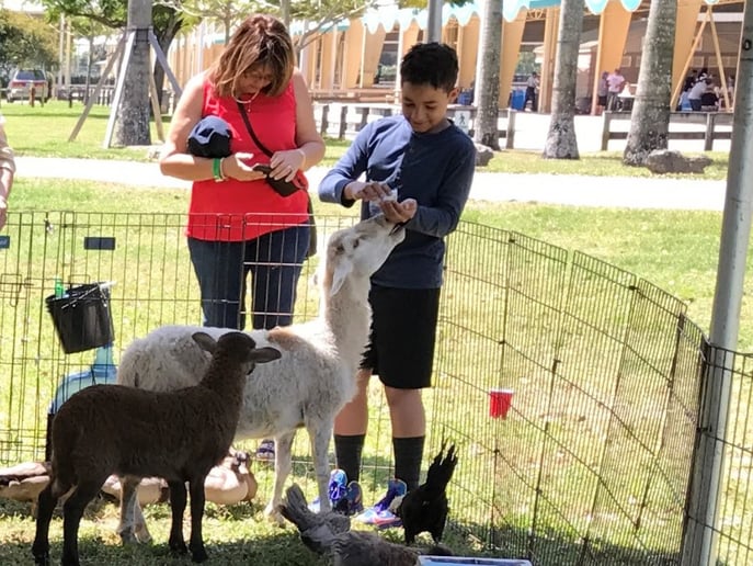 Gallery photo 8 of Petting Zoo & Pony Rides of Miami
