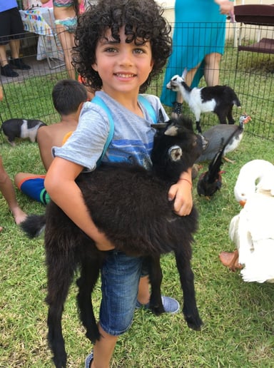 Gallery photo 3 of Petting Zoo & Pony Rides of Miami