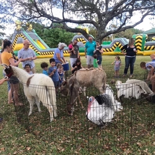 Gallery photo 10 of Petting Zoo & Pony Rides of Miami