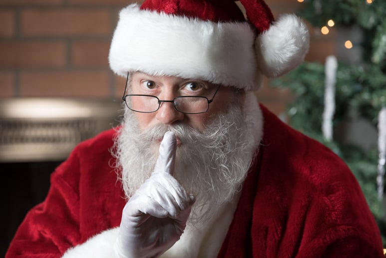 Gallery photo 5 of PGH Santa