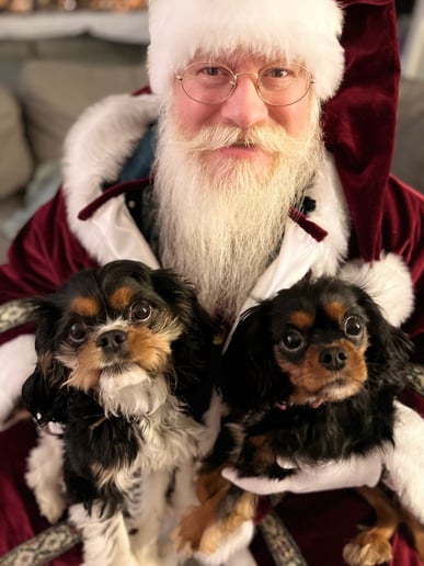 Gallery photo 8 of PGH Santa