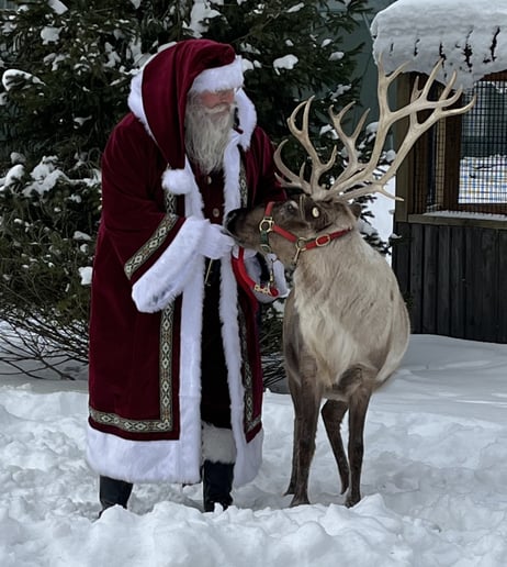 Gallery photo 9 of PGH Santa