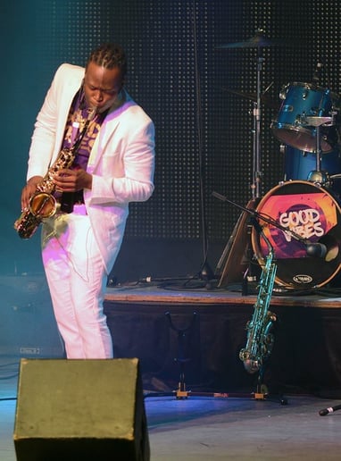 Gallery photo 7 of King P