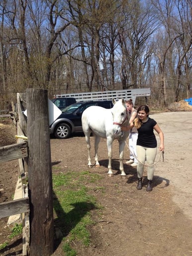 Gallery photo 1 of Philly Pony Connection