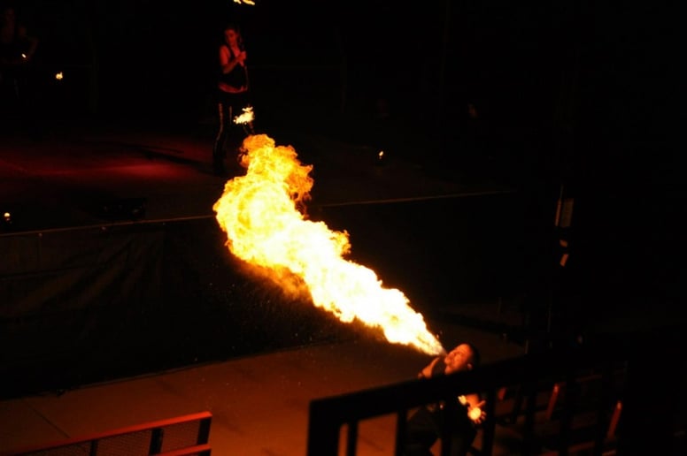 Gallery photo 8 of Phlox Fire