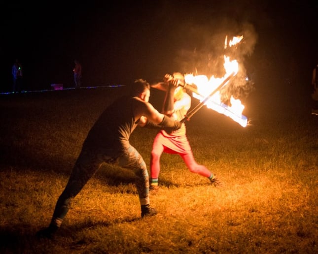 Gallery photo 7 of Phlox Fire