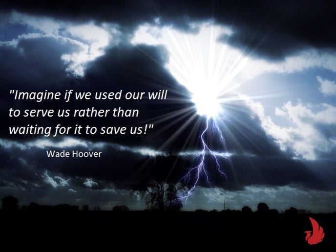 Gallery photo 4 of Phoenix By Wade Motivation