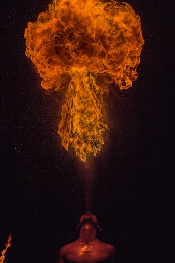 Gallery photo 1 of Phoenix Fire & Performance Art