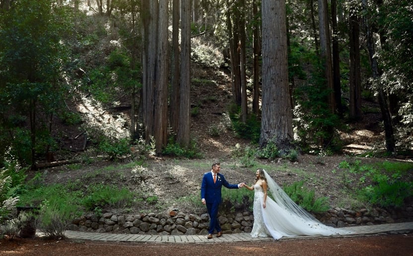 Gallery photo 8 of Bay Area Photographer / Videography Service