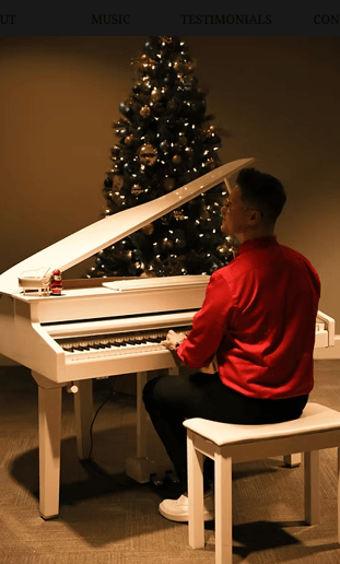 Gallery photo 2 of Pianist | DJ | Sound Equipment