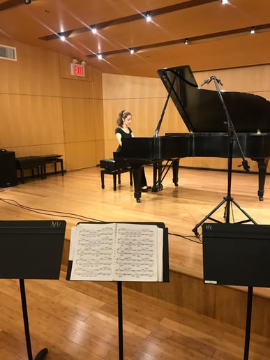 Gallery photo 4 of Pianist Ani Mouradian