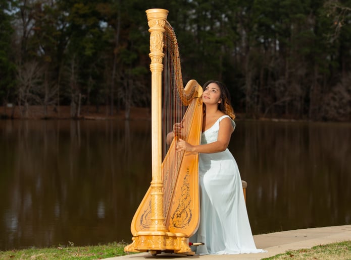 Gallery photo 13 of Pianist, Harpist and Singer