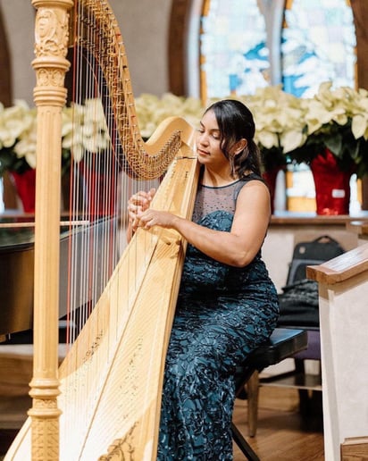 Gallery photo 11 of Pianist, Harpist and Singer