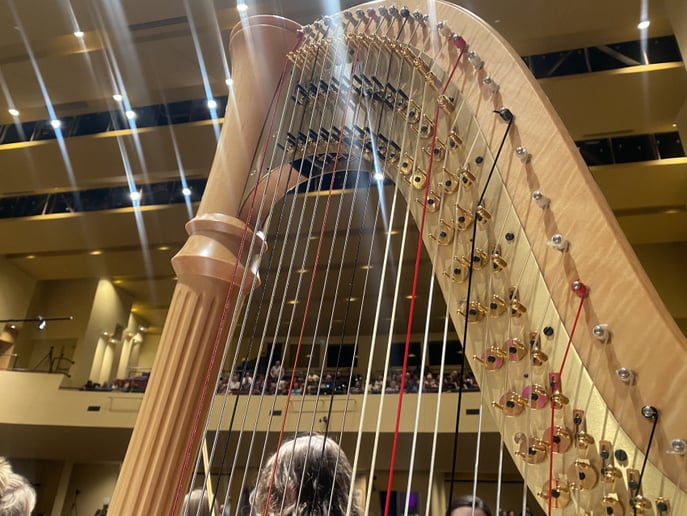 Gallery photo 17 of Pianist, Harpist and Singer