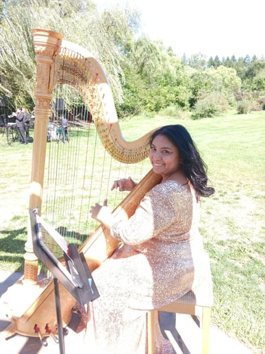 Gallery photo 18 of Pianist, Harpist and Singer