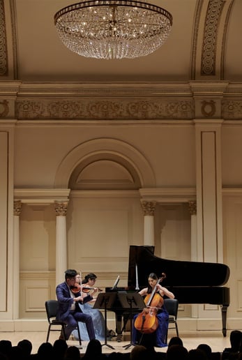 Gallery photo 5 of Pianist Malka