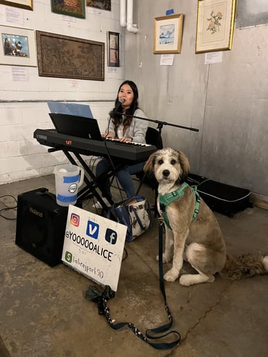 Gallery photo 4 of Pianist & Singer, Classical and Modern