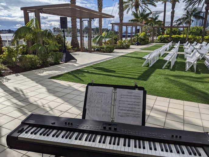 Gallery photo 21 of Piano in all Styles for All Settings