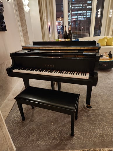 Gallery photo 21 of Piano Man Dan
