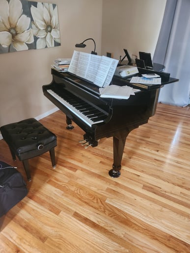 Gallery photo 43 of Piano Man Dan