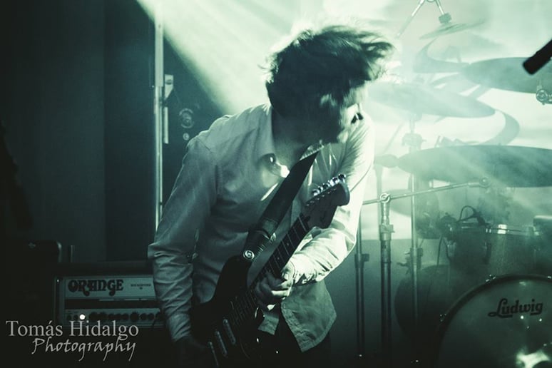 Gallery photo 3 of Pigs on the Wing - A tribute to Pink Floyd