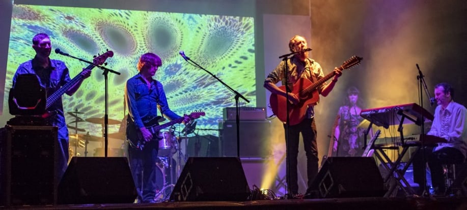 Gallery photo 2 of Pigs on the Wing - A tribute to Pink Floyd