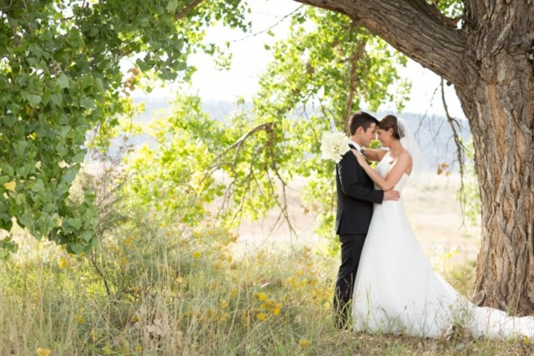 Gallery photo 3 of Aspen & Ivy