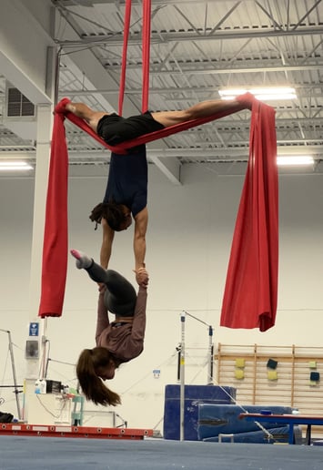 Gallery photo 3 of Pinnacle Aerial Arts