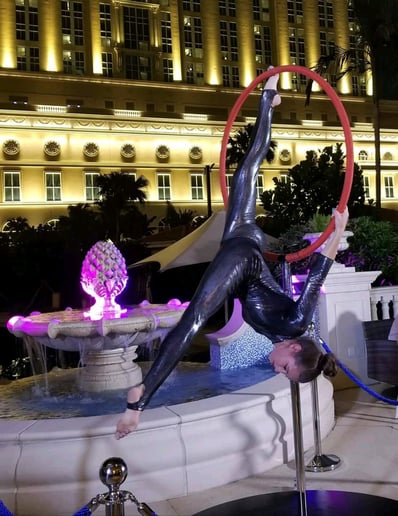 Gallery photo 9 of Pinnacle Aerial Arts
