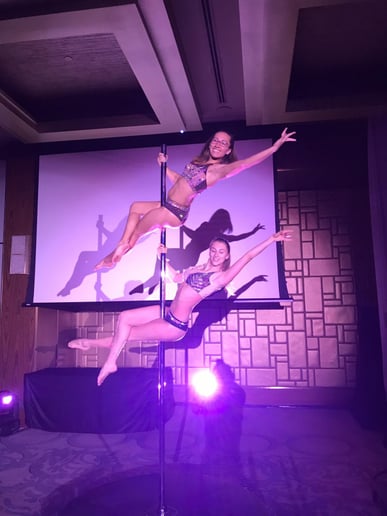 Gallery photo 10 of Pinnacle Aerial Arts