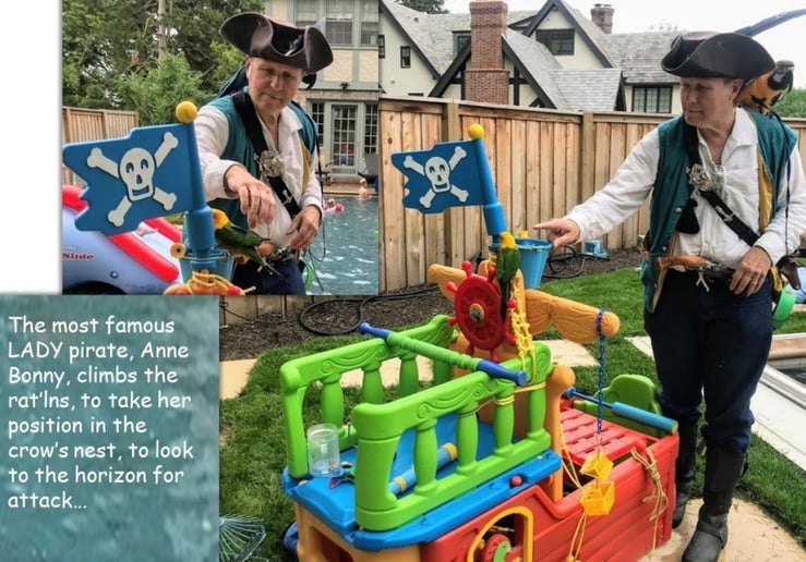Gallery photo 7 of Pirates And Parrots