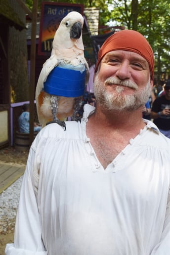 Gallery photo 1 of Piratical Parrot