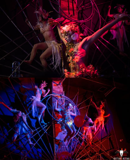 Gallery photo 8 of Pixel the Drag Jester