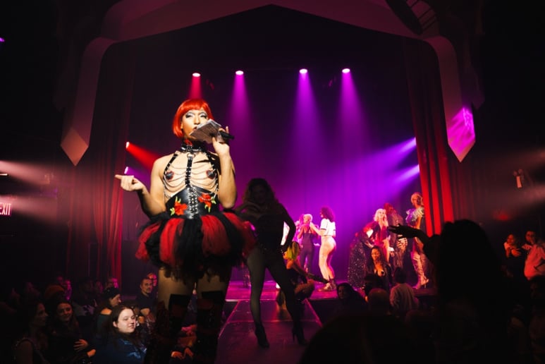 Gallery photo 1 of Pixel the Drag Jester