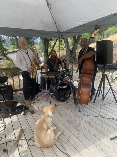 Gallery photo 1 of Pleasure Point Jazz