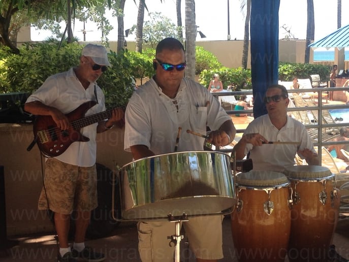 Gallery photo 1 of Pleneros, Batucada, Steel Band