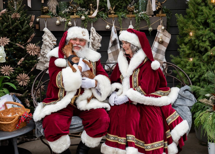 Gallery photo 4 of PlMrandMrsclaus