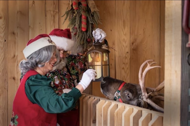 Gallery photo 10 of PlMrandMrsclaus
