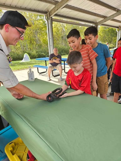 Gallery photo 5 of Plowman Wildlife Experience