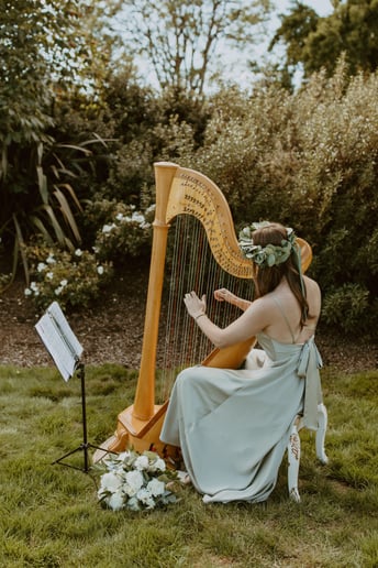Gallery photo 2 of Arfa Strings