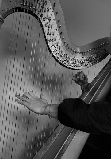Gallery photo 4 of Arfa Strings