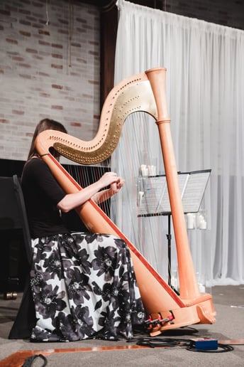 Gallery photo 5 of Arfa Strings